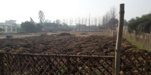 Utsav Vermicompost Fertilizer