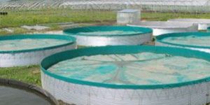 Genap High Capacity Water Tanks