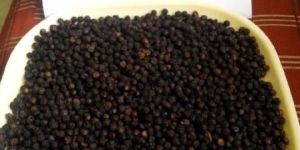 Black Pepper