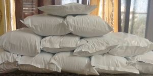 NON GMO Organic Wheat