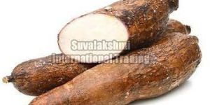 Fresh Cassava