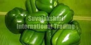 Fresh Green Capsicum