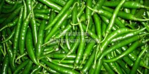 Fresh Green Chilli