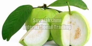 Fresh Guava