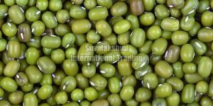 Green Mung Beans