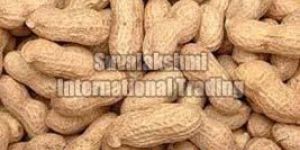 Shelled Groundnuts