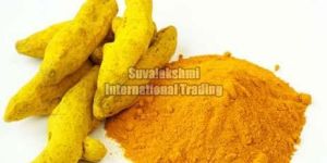 Turmeric Powder
