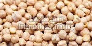 White Chickpeas