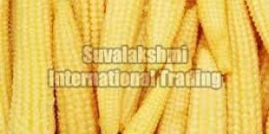 Yellow Baby Corn