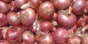 Agricultural Products