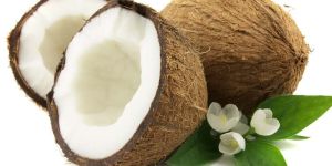 Coconut