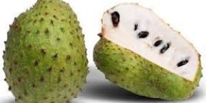 Soursop