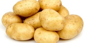 Fresh Potato