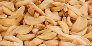 Dehydrated Garlic Flakes