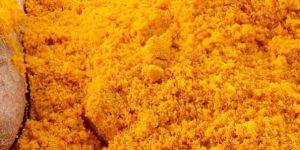 Organic Turmeric Powder