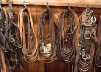 Horse Tack