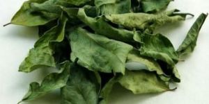 Dehydrated Curry Leaves