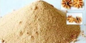Spray Dried Sapodilla Powder