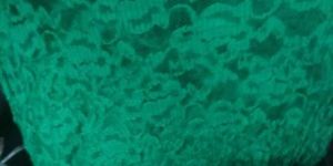 Rasal Net Jacquard Fabric