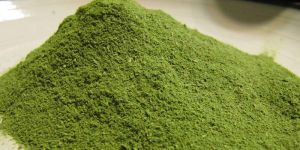 Moringa Powder