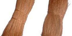 Bristle Coir Fibre