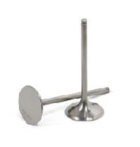 Diesel Engine Valves