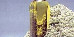 Washed Cotton Oil