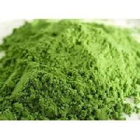 Greenshield Wheat Grass Powder 100 Gm