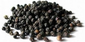 Black Pepper