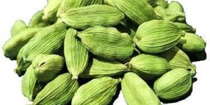 Green Cardamom