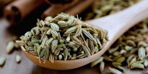 Fennel Seeds