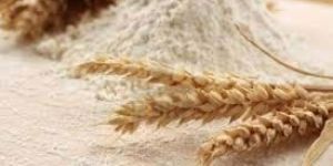 Wheat Flour
