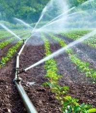 Drip Irrigation
