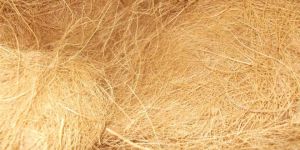 Coir Fibre