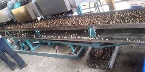 Cashew Nut Shelling Machine