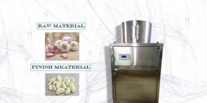 Garlic Skin Remover Machine