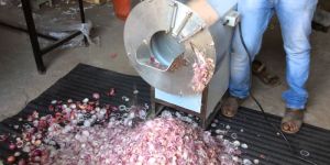 Onion Cutting Machine
