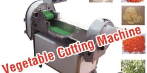 PAPAYA CUTTING MACHINE