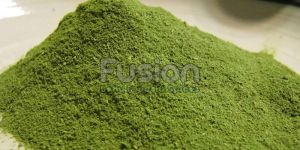 Dehydrated Moringa Leaves Powder