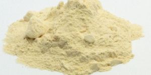 Dehydrated Onion Powder