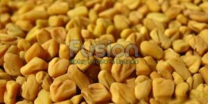 Fenugreek Seeds