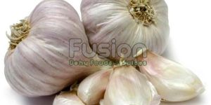 Fresh Garlic