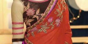 Embroidery Sarees