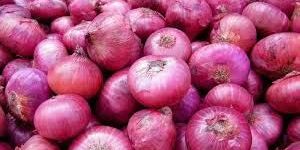 Fresh Red Onion
