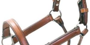 Leather Halter