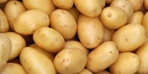 Potatos