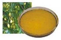 Cold Pressed Neem Oil