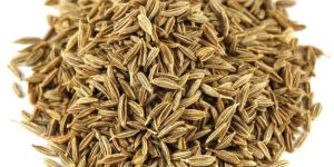 Cumin Seeds