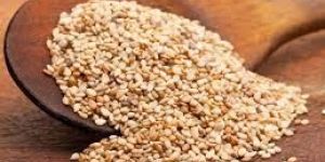 Sesame Seeds