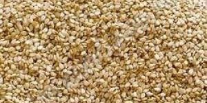 Sesame Seeds